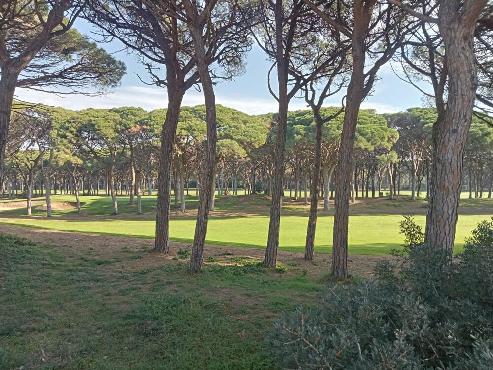 08268 Piverd del Golf 6 Casa adosada Platja de Pals Pals 08268 Piverd del Golf 6 Casa adosada Platja de Pals Pals