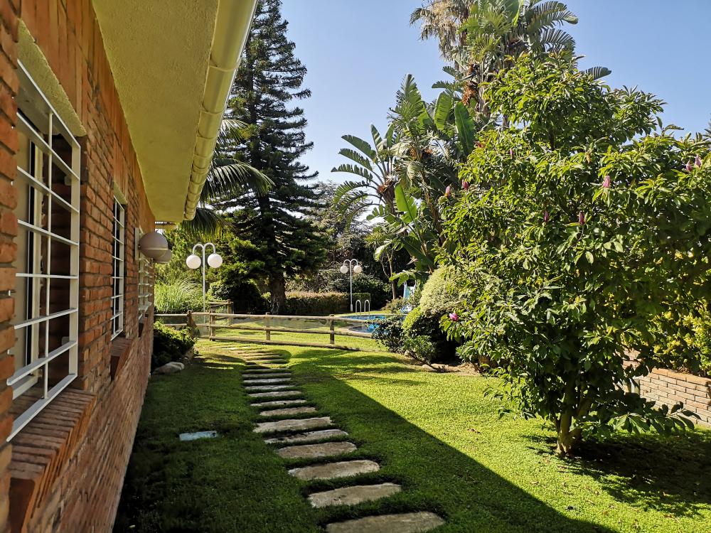 FAÇANA PRINCIPAL - Gespa natural amb un camí de pedres que ens porta fins a la zona tancada de la piscina. Gran privadesa gràcies als arbustos que delimiten la propietat i reforcen la tanca amb el carrer.
086-AS BELL RECO Casa aïllada / Villa EL MARESME Cabrils FAÇANA PRINCIPAL - Gespa natural amb un camí de pedres que ens porta fins a la zona tancada de la piscina. Gran privadesa gràcies als arbustos que delimiten la propietat i reforcen la tanca amb el carrer.
086-AS BELL RECO Casa aïllada / Villa EL MARESME Cabrils