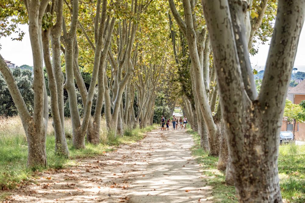 Escalada, excursions, trekking, ciclisme, bicicletes gratis incloses en la reserva, natura, camins, senders, cultura, arquitectura, pobles, parc Can Jalpi, gronxadors, tobogan, jocs infantils.
Costa Maresme Vacances empresa local i familiar de lloguer turístic.
088-IF TARRACO Casa adossada El Maresme Arenys de Munt
Parc Can Jalpí Arenys de Munt Arenys de Mar Maresme Barcelona
Lloguer turístic
Lloguer casa particular
Lloguer casa de vacances
Escapada a la costa
Escapada a la platja
Escapada a la muntanya
Turisme a Catalunya
Piscina privada Jardi privat chill-out terrasa coberta
Casa 4 habitacions i 3 banys complets . Habitació doble amb bany privat
Menjador interior i exterior, sala d'estar, sala de jocs
piscina compartida
Diseny interiorisme mobles Escalada, excursions, trekking, ciclisme, bicicletes gratis incloses en la reserva, natura, camins, senders, cultura, arquitectura, pobles, parc Can Jalpi, gronxadors, tobogan, jocs infantils.
Costa Maresme Vacances empresa local i familiar de lloguer turístic.
088-IF TARRACO Casa adossada El Maresme Arenys de Munt
Parc Can Jalpí Arenys de Munt Arenys de Mar Maresme Barcelona
Lloguer turístic
Lloguer casa particular
Lloguer casa de vacances
Escapada a la costa
Escapada a la platja
Escapada a la muntanya
Turisme a Catalunya
Piscina privada Jardi privat chill-out terrasa coberta
Casa 4 habitacions i 3 banys complets . Habitació doble amb bany privat
Menjador interior i exterior, sala d'estar, sala de jocs
piscina compartida
Diseny interiorisme mobles
