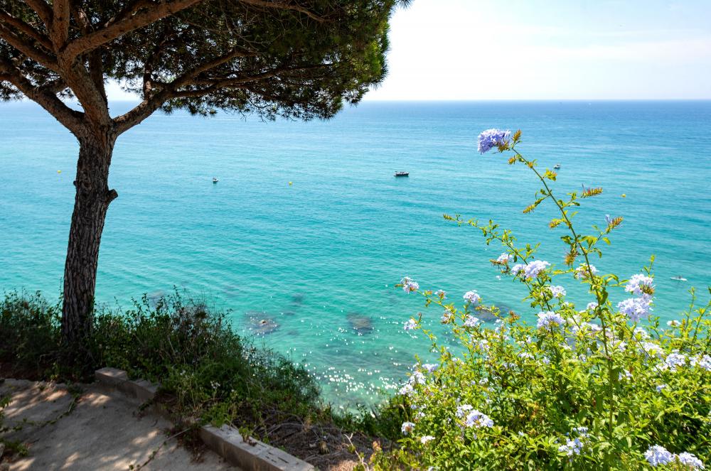 Vistas al mar, a la platja, a la muntanya i als jardins
lloguer turístic davant del mar
lloguer d'una villa privada amb jardí i piscina privats.
lloguer de vacances davant la platja
escapada a la costa del Maresme, Arenys de Mar
a prop de Barcelona i la costa Brava
Urbanització íntima y privada
Families amb nens petits
Amics i desconnexió Vistas al mar, a la platja, a la muntanya i als jardins
lloguer turístic davant del mar
lloguer d'una villa privada amb jardí i piscina privats.
lloguer de vacances davant la platja
escapada a la costa del Maresme, Arenys de Mar
a prop de Barcelona i la costa Brava
Urbanització íntima y privada
Families amb nens petits
Amics i desconnexió