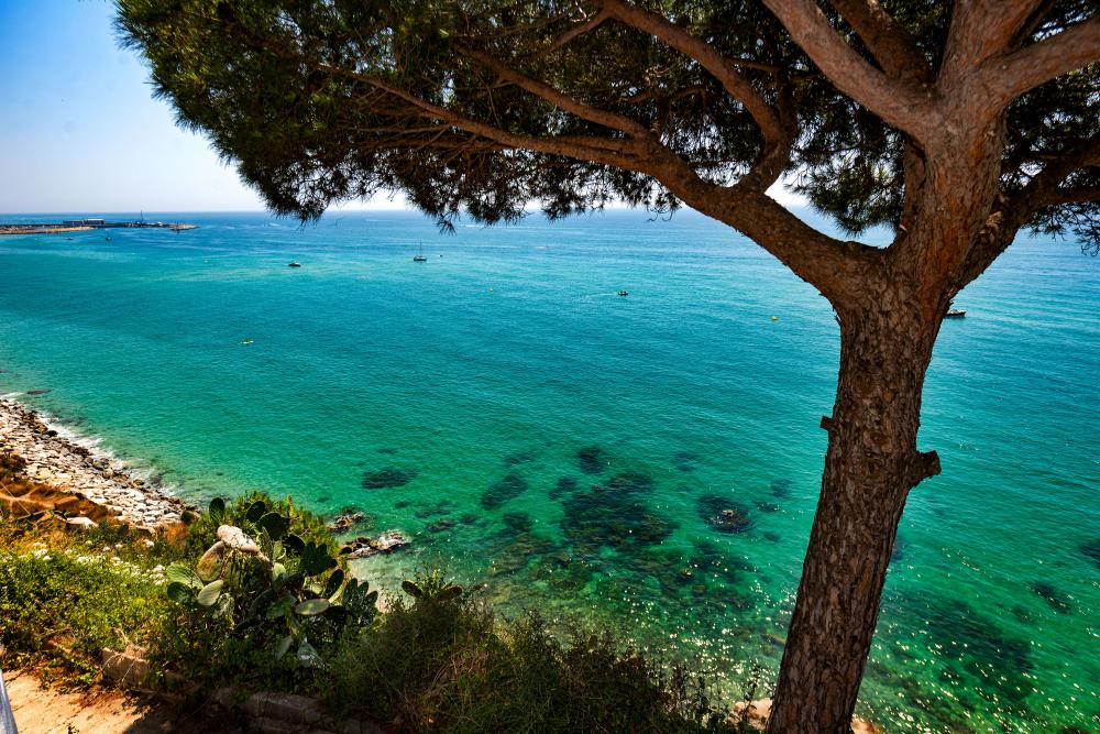 Vistas al mar, a la platja, a la muntanya i als jardins
lloguer turístic davant del mar
lloguer d'una villa privada amb jardí i piscina privats.
lloguer de vacances davant la platja
escapada a la costa del Maresme, Arenys de Mar
a prop de Barcelona i la costa Brava
Urbanització íntima y privada
Families amb nens petits
Amics i desconnexió Vistas al mar, a la platja, a la muntanya i als jardins
lloguer turístic davant del mar
lloguer d'una villa privada amb jardí i piscina privats.
lloguer de vacances davant la platja
escapada a la costa del Maresme, Arenys de Mar
a prop de Barcelona i la costa Brava
Urbanització íntima y privada
Families amb nens petits
Amics i desconnexió
