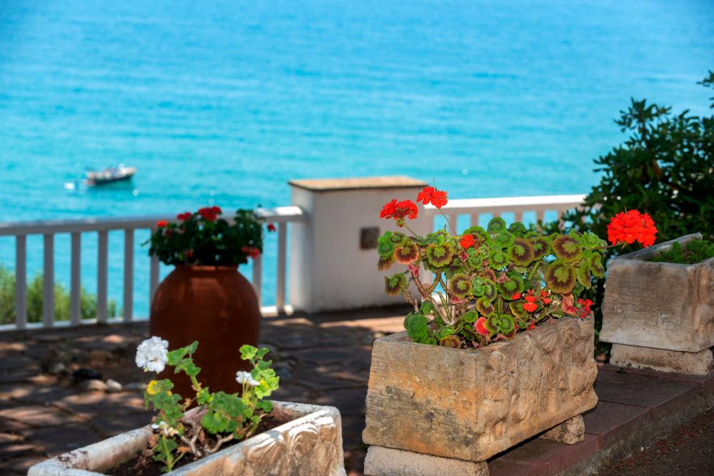 Vistas al mar, a la platja, a la muntanya i als jardins
lloguer turístic davant del mar
lloguer d'una villa privada amb jardí i piscina privats.
lloguer de vacances davant la platja
escapada a la costa del Maresme, Arenys de Mar
a prop de Barcelona i la costa Brava
Urbanització íntima y privada
Families amb nens petits
Amics i desconnexió Vistas al mar, a la platja, a la muntanya i als jardins
lloguer turístic davant del mar
lloguer d'una villa privada amb jardí i piscina privats.
lloguer de vacances davant la platja
escapada a la costa del Maresme, Arenys de Mar
a prop de Barcelona i la costa Brava
Urbanització íntima y privada
Families amb nens petits
Amics i desconnexió