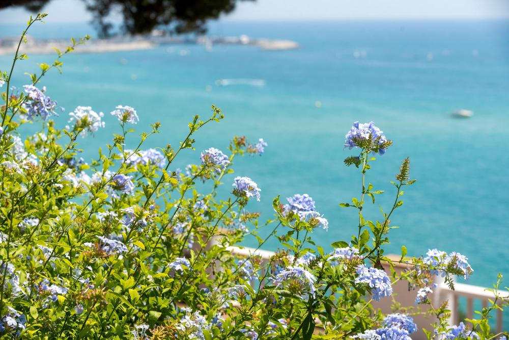 Vistas al mar, a la platja, a la muntanya i als jardins
lloguer turístic davant del mar
lloguer d'una villa privada amb jardí i piscina privats.
lloguer de vacances davant la platja
escapada a la costa del Maresme, Arenys de Mar
a prop de Barcelona i la costa Brava
Urbanització íntima y privada
Families amb nens petits
Amics i desconnexió Vistas al mar, a la platja, a la muntanya i als jardins
lloguer turístic davant del mar
lloguer d'una villa privada amb jardí i piscina privats.
lloguer de vacances davant la platja
escapada a la costa del Maresme, Arenys de Mar
a prop de Barcelona i la costa Brava
Urbanització íntima y privada
Families amb nens petits
Amics i desconnexió