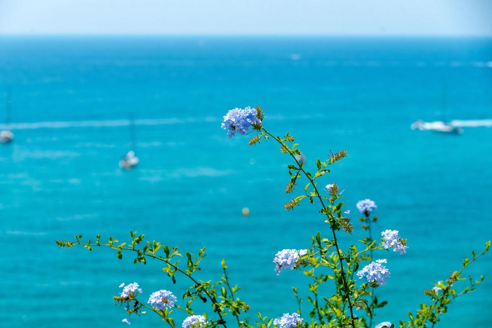 Vistas al mar, a la platja, a la muntanya i als jardins
lloguer turístic davant del mar
lloguer d'una villa privada amb jardí i piscina privats.
lloguer de vacances davant la platja
escapada a la costa del Maresme, Arenys de Mar
a prop de Barcelona i la costa Brava
Urbanització íntima y privada
Families amb nens petits
Amics i desconnexió Vistas al mar, a la platja, a la muntanya i als jardins
lloguer turístic davant del mar
lloguer d'una villa privada amb jardí i piscina privats.
lloguer de vacances davant la platja
escapada a la costa del Maresme, Arenys de Mar
a prop de Barcelona i la costa Brava
Urbanització íntima y privada
Families amb nens petits
Amics i desconnexió