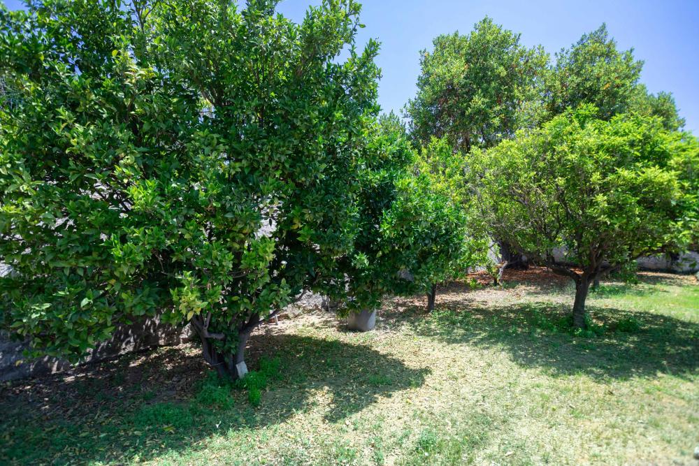 103-FA MIRADOR ALELLA Casa aïllada / Villa El Maresme Alella 103-FA MIRADOR ALELLA Casa aïllada / Villa El Maresme Alella
