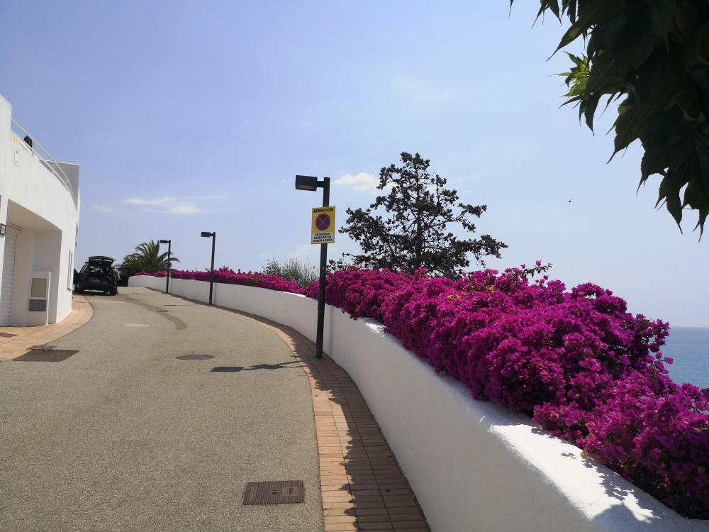 107-MM MAGNOLIA Casa adossada Sant Pol de Mar 107-MM MAGNOLIA Casa adossada Sant Pol de Mar