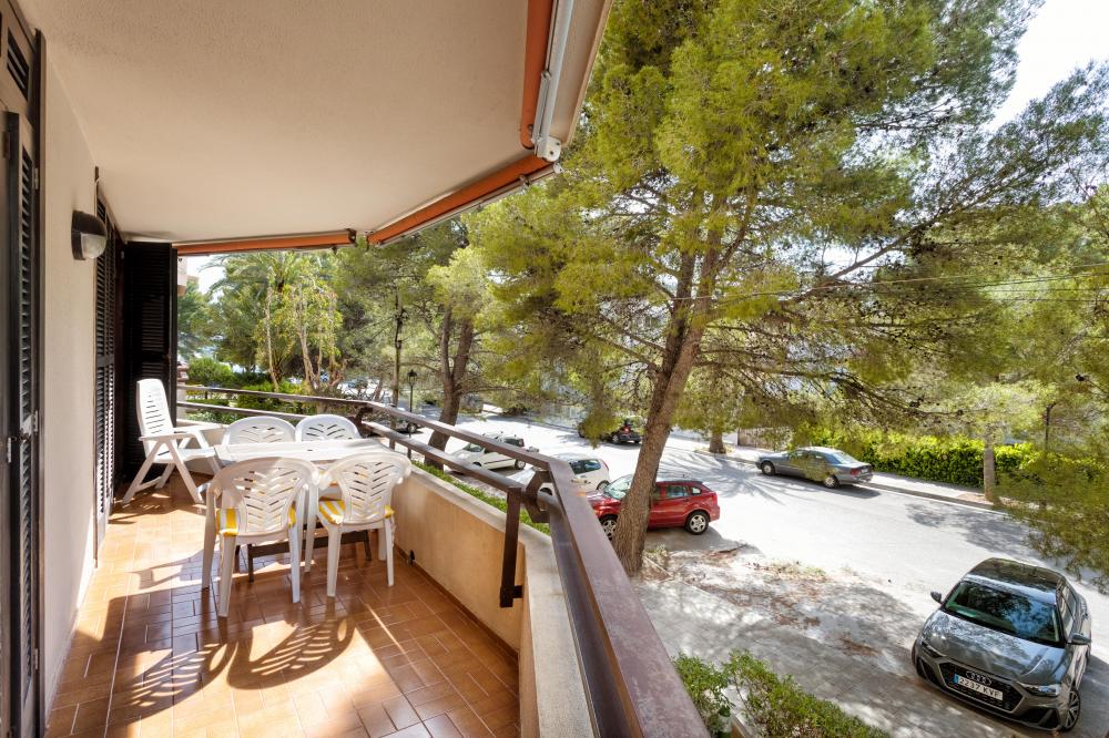 011 MR LORD JIM Apartament Illes Balears Pollença
Balcó privat de l'apartament de lloguer turístic LORD JIM
Cómode apartament 6 persones, 3 habitacions, 2 lavabos, terrassa privada, cuina completament equipada i sala d'estar menjador.
Estacionament privat i aparcament gratuït davant de l'apartament
Ideal per explorar l'illa de Mallorca de la mà dels més petits de la família.
Ciclisme, buceig, barco, vela, kayak, excursions, trekking, qualsevol activitat.
Aprop del Port d'Alcudia
Costa Maresme Vacances Lloguer allotjaments turístics 011 MR LORD JIM Apartament Illes Balears Pollença
Balcó privat de l'apartament de lloguer turístic LORD JIM
Cómode apartament 6 persones, 3 habitacions, 2 lavabos, terrassa privada, cuina completament equipada i sala d'estar menjador.
Estacionament privat i aparcament gratuït davant de l'apartament
Ideal per explorar l'illa de Mallorca de la mà dels més petits de la família.
Ciclisme, buceig, barco, vela, kayak, excursions, trekking, qualsevol activitat.
Aprop del Port d'Alcudia
Costa Maresme Vacances Lloguer allotjaments turístics