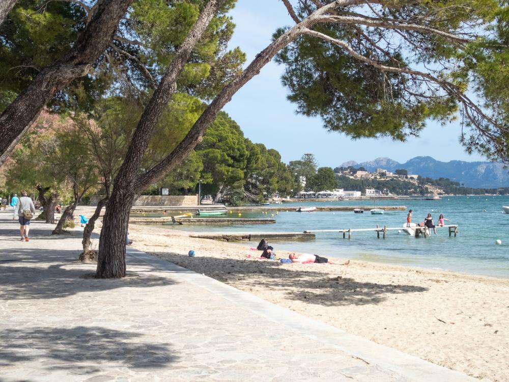 011 MR LORD JIM Apartament Illes Balears Pollença
Passeig de la platja de Pollença a 2 minuts caminant
Cómode apartament 6 persones, 3 habitacions, 2 lavabos, terrassa privada, cuina completament equipada i sala d'estar menjador.
Estacionament privat i aparcament gratuït davant de l'apartament
Ideal per explorar l'illa de Mallorca de la mà dels més petits de la família.
Ciclisme, buceig, barco, vela, kayak, excursions, trekking, qualsevol activitat.
Aprop del Port d'Alcudia
Costa Maresme Vacances Lloguer allotjaments turístics 011 MR LORD JIM Apartament Illes Balears Pollença
Passeig de la platja de Pollença a 2 minuts caminant
Cómode apartament 6 persones, 3 habitacions, 2 lavabos, terrassa privada, cuina completament equipada i sala d'estar menjador.
Estacionament privat i aparcament gratuït davant de l'apartament
Ideal per explorar l'illa de Mallorca de la mà dels més petits de la família.
Ciclisme, buceig, barco, vela, kayak, excursions, trekking, qualsevol activitat.
Aprop del Port d'Alcudia
Costa Maresme Vacances Lloguer allotjaments turístics