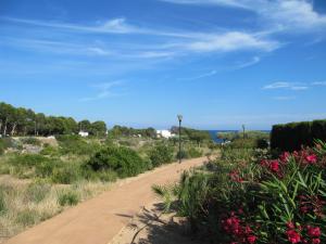 222 Apartamento con solárium  en Marina Sant Jordi MSJ56 Apartment  l'ametlla mar