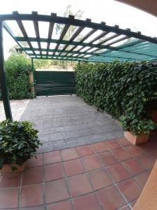 229 MSJ 50 Espacioso Bajo con jardín privado Apartamento  Ametlla de Mar (L')