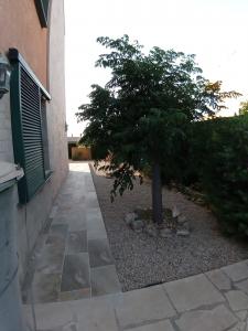 229 MSJ 50 Espacioso Bajo con jardín privado Apartamento  Ametlla de Mar (L')