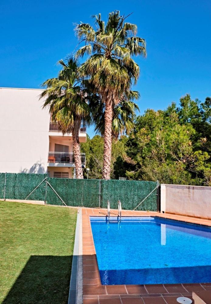 234 Bonito Bajo en Edificio Marina Apartamento Ametlla de Mar (L') 234 Bonito Bajo en Edificio Marina Apartamento Ametlla de Mar (L')