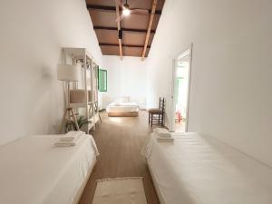 248 MASIA BLANCA  Masia  Deltebre