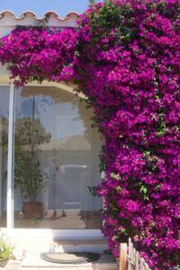 255 Villa Mediterránea Maison jumelée  Ametlla de Mar (L')