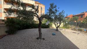 256 MSJ 88 bajo con jardín privado  Apartamento  Ametlla de Mar (L')