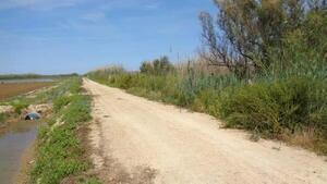 160 Finca Montaner Terreny  Deltebre