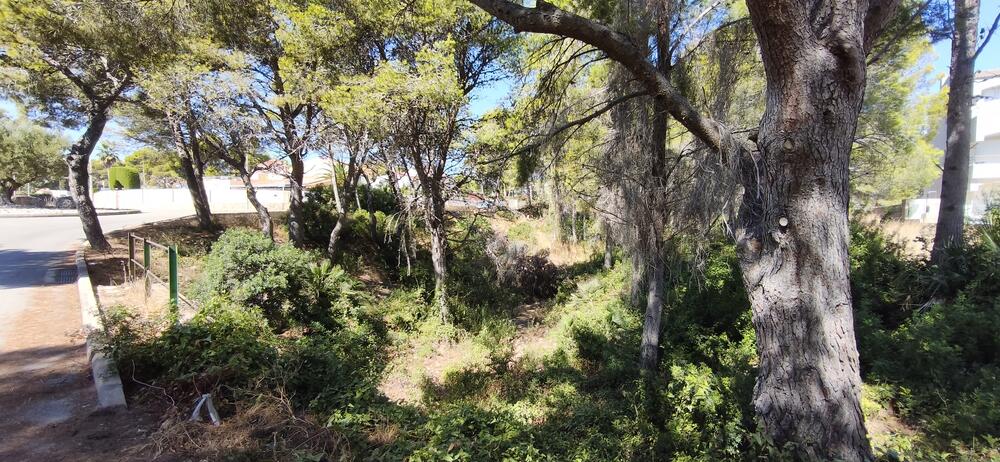 161 GRAN OPORTUNITAT D'INVERSIÓ A CALAFAT | 2.842 m² DE SÒL Building plot Ametlla de Mar (L') 161 GRAN OPORTUNITAT D'INVERSIÓ A CALAFAT | 2.842 m² DE SÒL Building plot Ametlla de Mar (L')