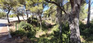 161 GRAN OPORTUNITAT D'INVERSIÓ A CALAFAT | 2.842 m² DE SÒL Building plot  Ametlla de Mar (L')