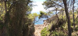 161 GRAN OPORTUNITAT D'INVERSIÓ A CALAFAT | 2.842 m² DE SÒL Building plot  Ametlla de Mar (L')