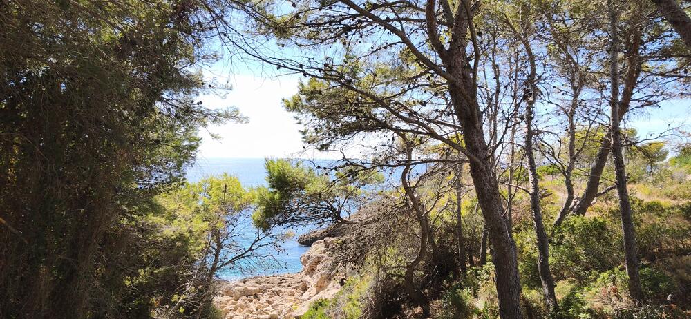 161 GRAN OPORTUNITAT D'INVERSIÓ A CALAFAT | 2.842 m² DE SÒL Building plot Ametlla de Mar (L') 161 GRAN OPORTUNITAT D'INVERSIÓ A CALAFAT | 2.842 m² DE SÒL Building plot Ametlla de Mar (L')