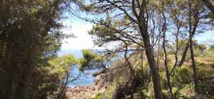 161 GRAN OPORTUNITAT D'INVERSIÓ A CALAFAT | 2.842 m² DE SÒL Building plot  Ametlla de Mar (L')