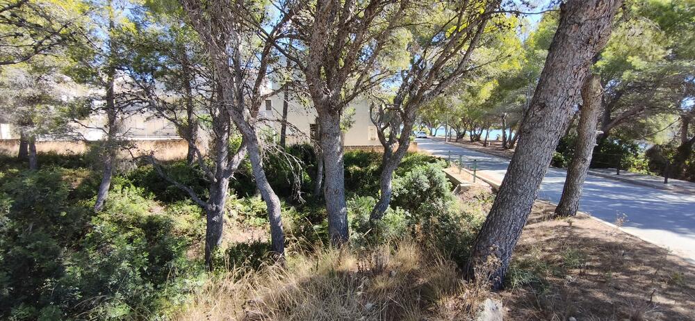 161 GRAN OPORTUNITAT D'INVERSIÓ A CALAFAT | 2.842 m² DE SÒL Building plot Ametlla de Mar (L') 161 GRAN OPORTUNITAT D'INVERSIÓ A CALAFAT | 2.842 m² DE SÒL Building plot Ametlla de Mar (L')