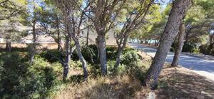 161 GRAN OPORTUNITAT D'INVERSIÓ A CALAFAT | 2.842 m² DE SÒL Building plot  Ametlla de Mar (L')