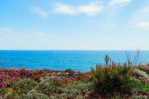 001 Apartamento Sol Naixent - Sensacionales Vistas al Mar (4/6pax-SN2HAB) Apartment Urb. Calafat - Ametlla de Mar Ametlla de Mar (L')
