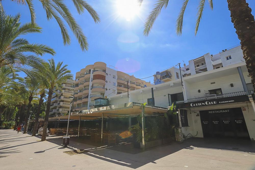 DF36SA DIFFERENTFLATS  EUCALYPTUS Apartamento  Salou