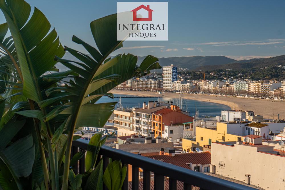 Gaudeix de Palamós i de totes les infinites activitats