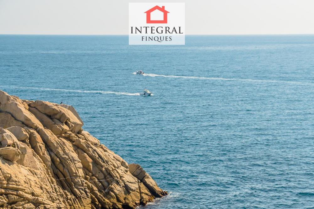 Paissatge de la Costa Brava