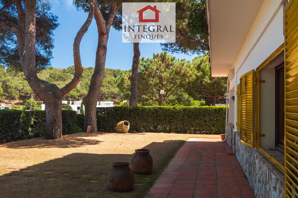 Zona d'espai verd amb jardí.