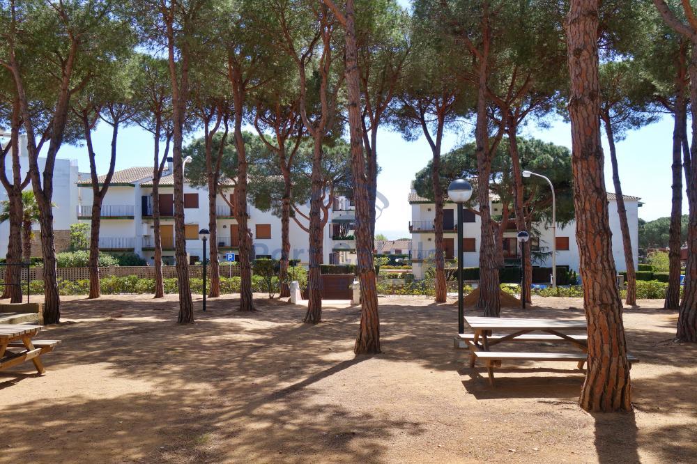 016P LA PINEDA Apartment CHOPITEA Calella de Palafrugell