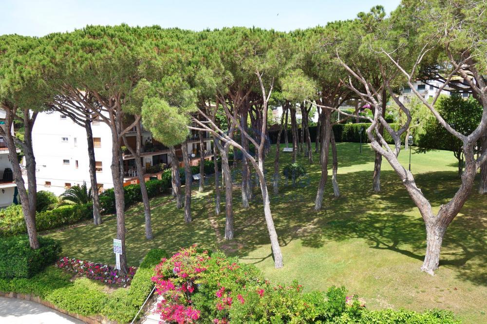 144 VENUSMAR Apartamento PORT PELEGRÍ - VENUSMAR Calella De Palafrugell