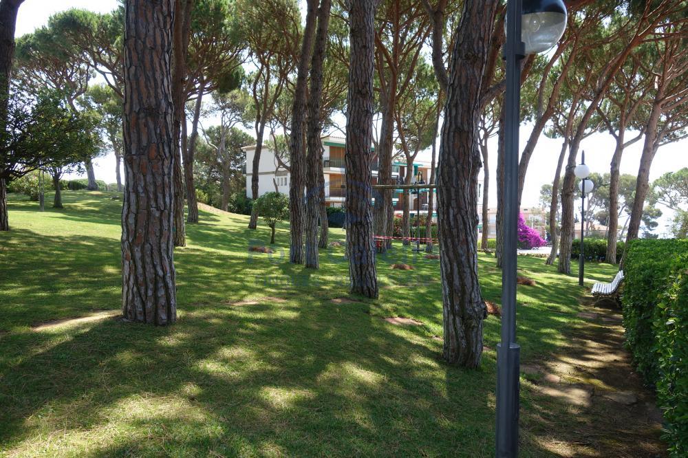 066 VENUSMAR Apartment PORT PELEGRÍ - VENUSMAR Calella De Palafrugell
