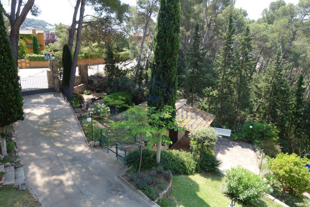 050 CASA (LLAFRANC) Casa aïllada LLAFRANC - CORONDA Llafranc