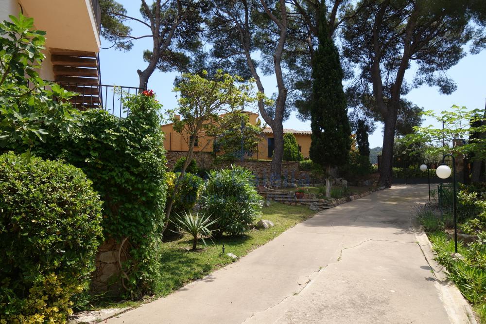 050 CASA (LLAFRANC) Casa aïllada LLAFRANC - CORONDA Llafranc