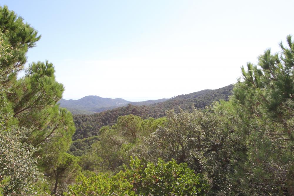 K15 VILLA ALTA VISTA Casa aislada / Villa serra brava Lloret de Mar K15 VILLA ALTA VISTA Casa aislada / Villa serra brava Lloret de Mar