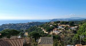 K31 VILLA MAJESTIC Casa unifamiliare / Villa  Lloret de Mar