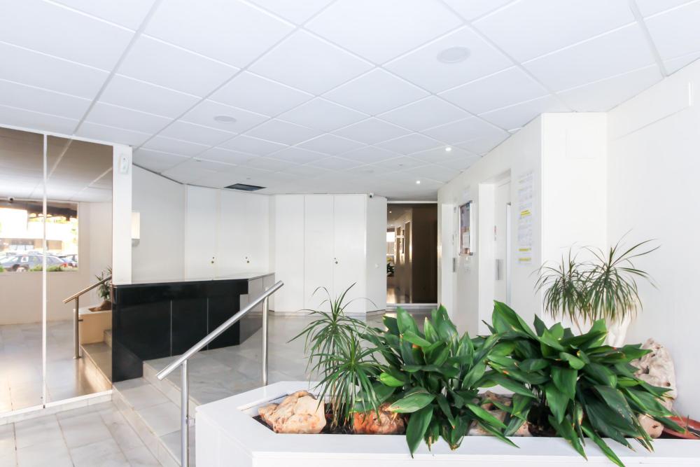 KA12 Apartamento Apartment FENALS-EDIFICIO LAS AMERICAS Lloret de Mar KA12 Apartamento Apartment FENALS-EDIFICIO LAS AMERICAS Lloret de Mar