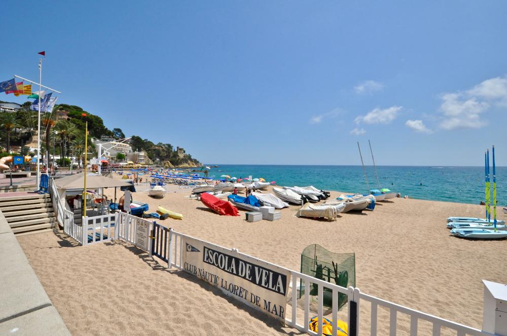A082 Apartament Arena Apartamento Centro Lloret de Mar A082 Apartament Arena Apartamento Centro Lloret de Mar