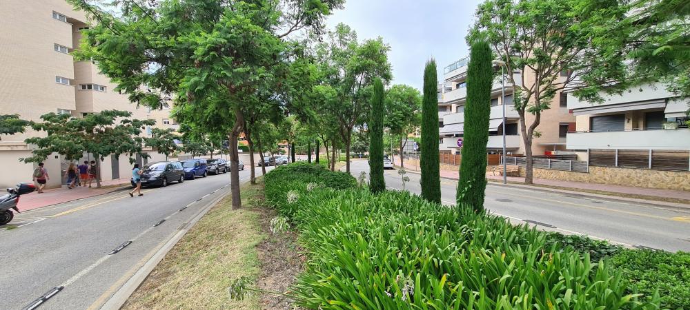A146 Apartment Nathania Apartment Fenals Lloret de Mar A146 Apartment Nathania Apartment Fenals Lloret de Mar