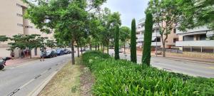 A146 Apartment Nathania Apartment Fenals Lloret de Mar