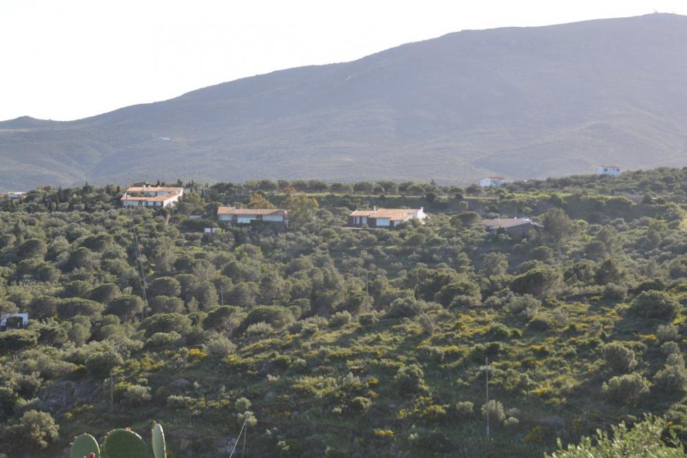 Parcela de 9.500 m² en S'Alqueria con vistas al mar en Cadaqués