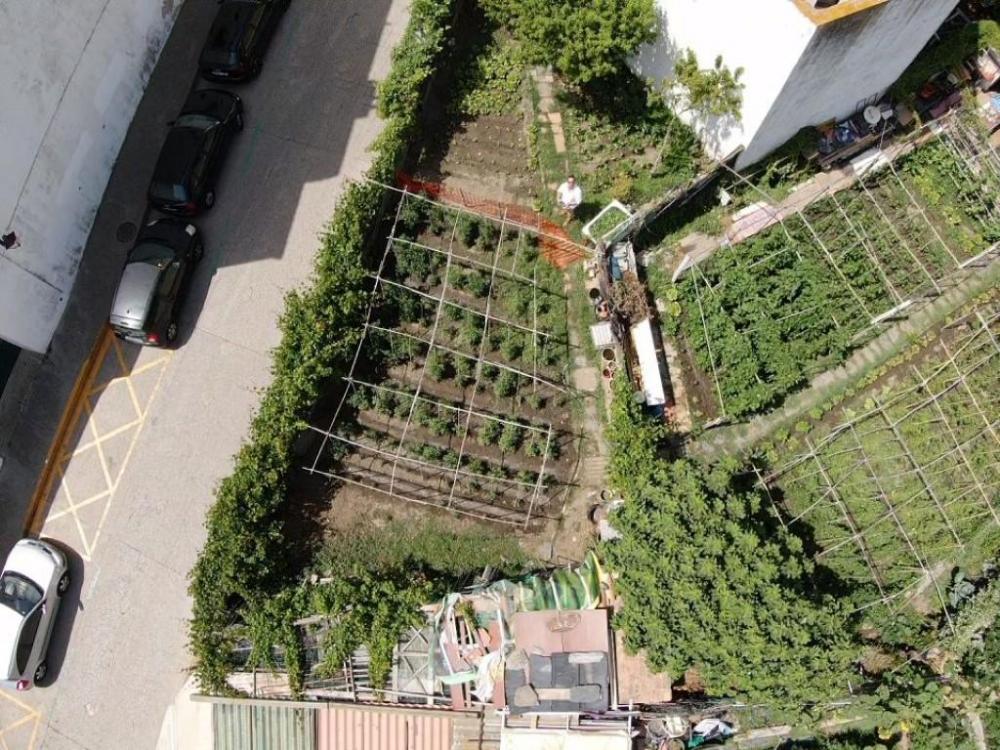 RIERA - LLUIS TASSIS HORT en el centre del poble Terreno  Cadaqués