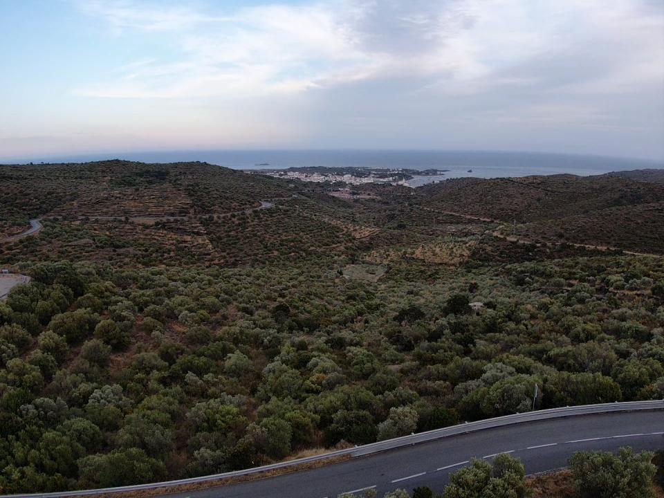 SURES OLIVAR CON VISTAS AL MAR Rústic  Cadaqués