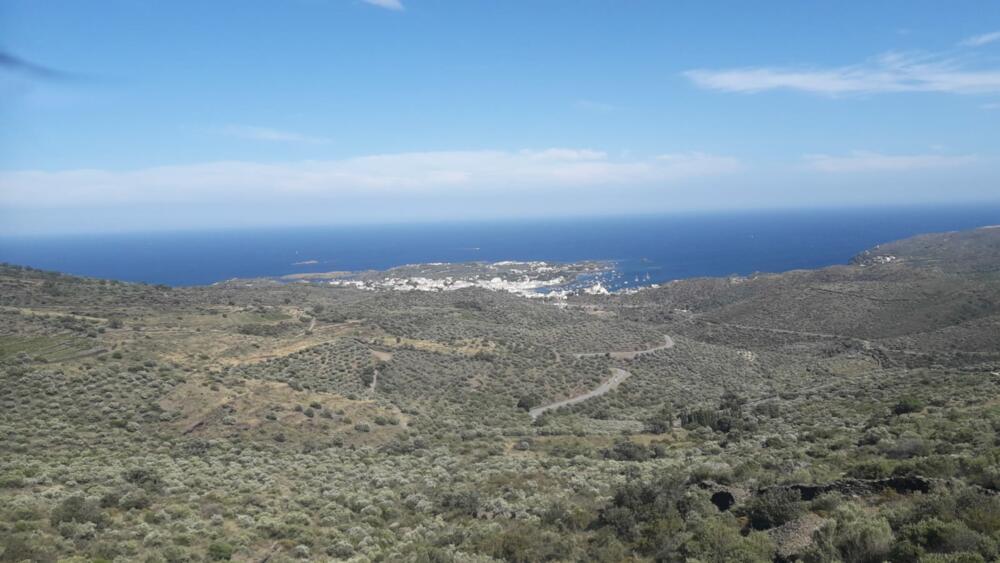 SES CLOSES  2 Olivar amb vistes al mar Rústico  Cadaqués