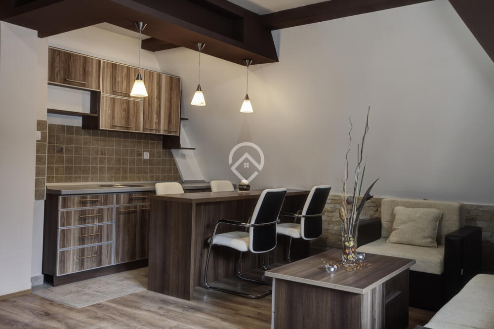 11447-R Can Casademont Apartamento  Wembley