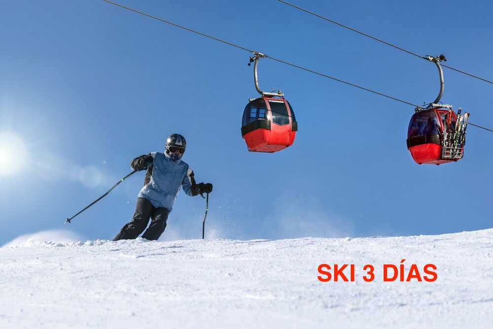 3 dias