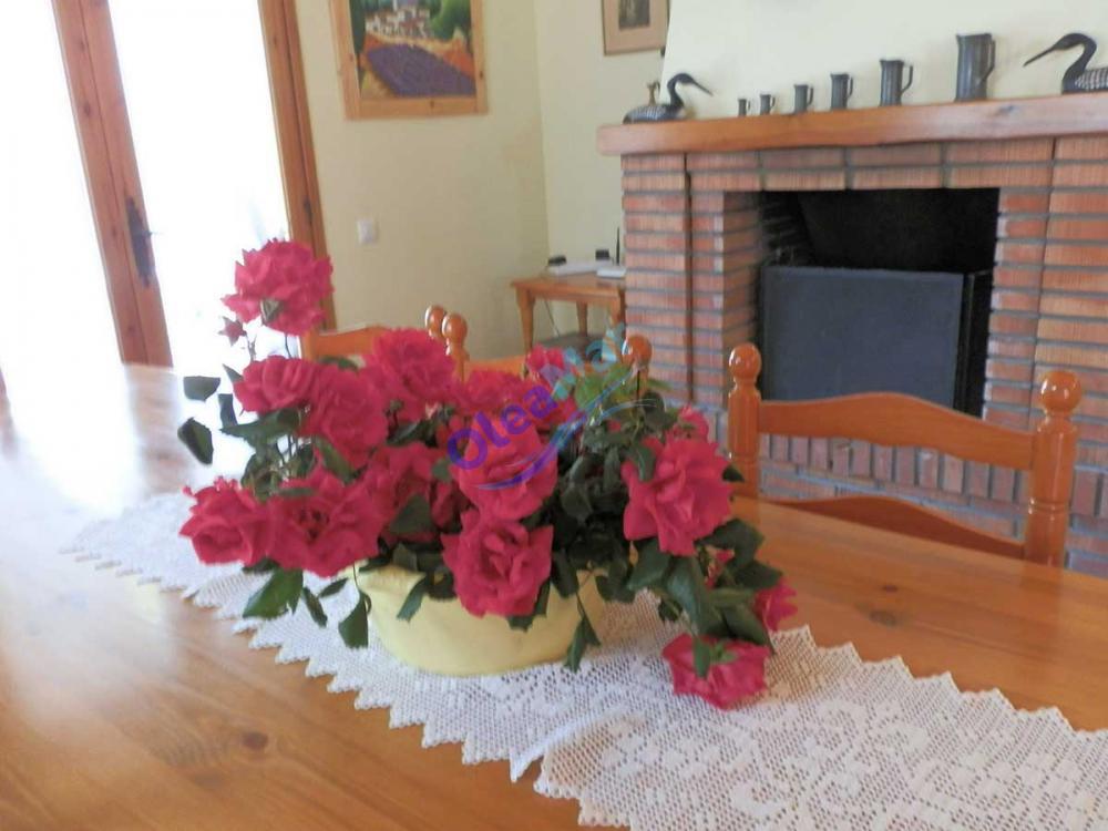 022 ESTHER Casa aislada Deltebre 022 ESTHER Casa aislada Deltebre